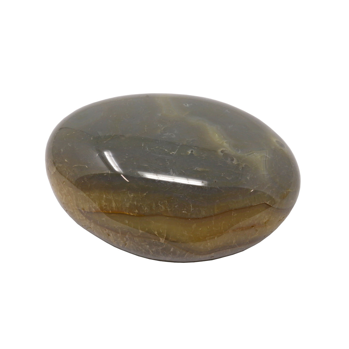 Agate Palm Stone - Gray with Brecciated Red