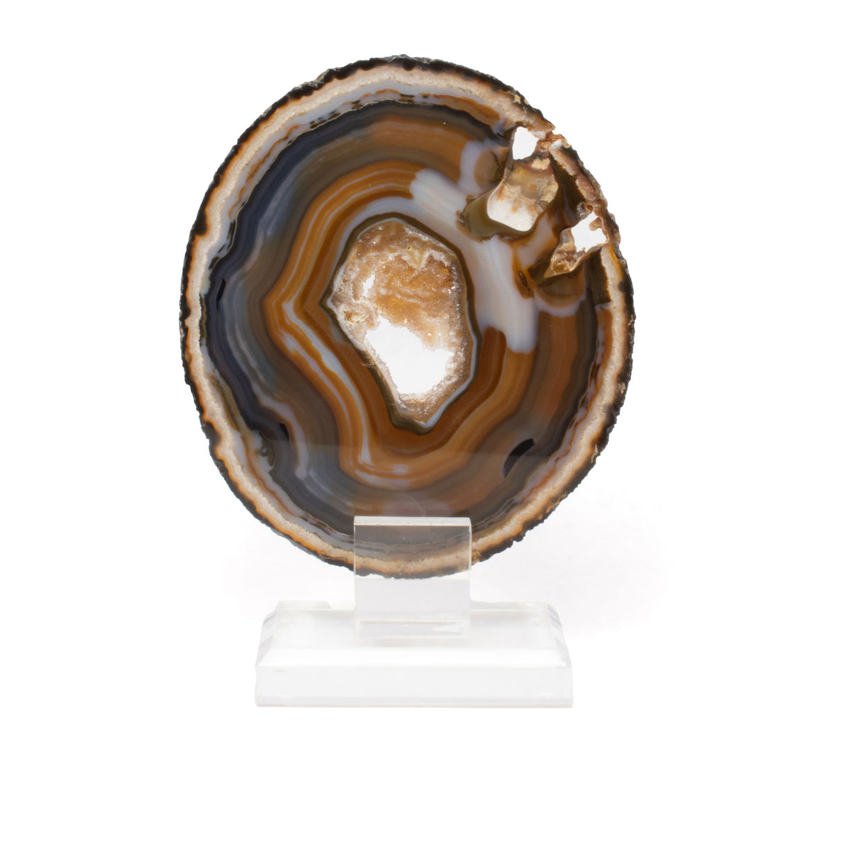 Agate Druze Slice On Acrylic Screw Stand - Densely Banded Blues & Browns with Exterior Geode Inclusions