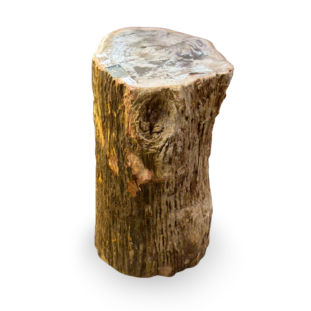 Indonesian Petrified Wood Log Stool with Natural Bark - Brown Hues