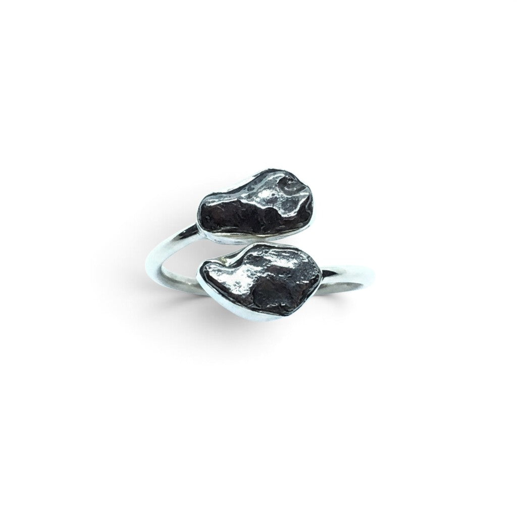 Rare Earth Gallery Agoudal meteorite ring featuring two bezel-set cosmic nuggets on a polished silver open band.