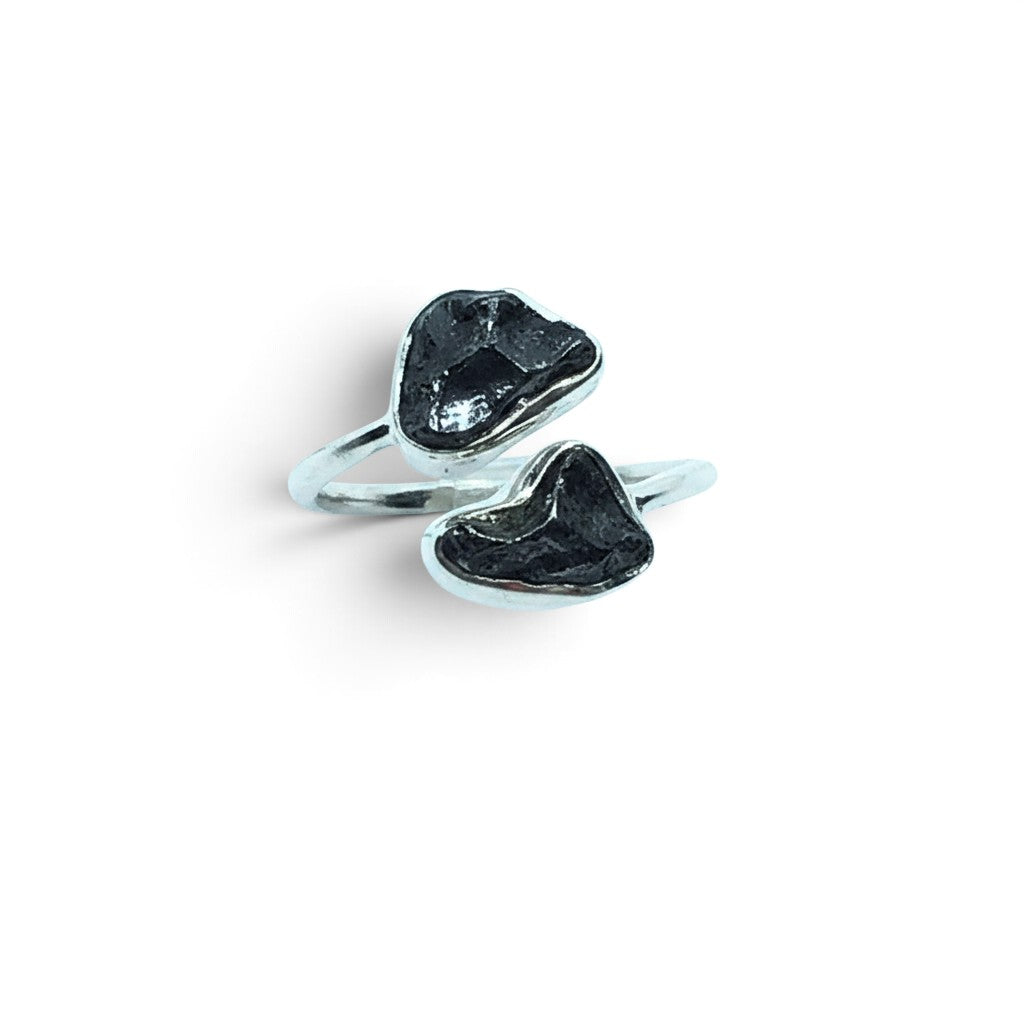 Rare Earth Gallery adjustable ring featuring two bezel-set Agoudal meteorite nuggets on a polished open metal band.