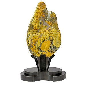 Bumblebee Jasper