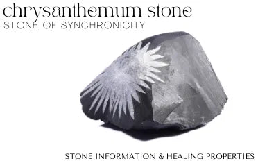Chrysanthemum Stone