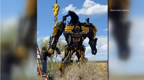 Iconic bumblebee artwork in front of Rare Earth Gallery, a premier crystal and art space in Cave Creek, Arizona.