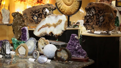 Collection of amethyst crystal geodes on custom stand ammonite fossils on petrified wood tables.