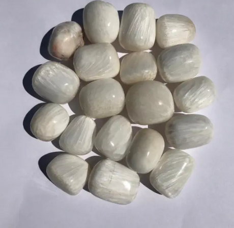 Scolecite