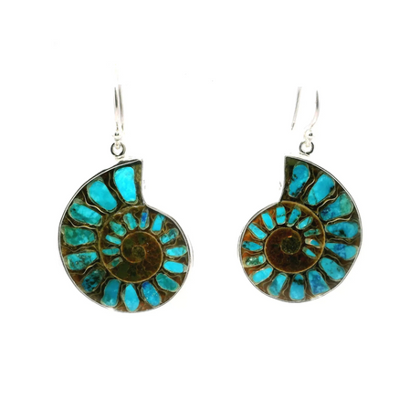 Crystal Dangle Earrings