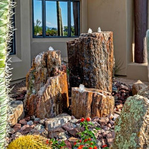 Petrified Wood Fountains