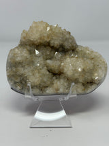 Polished Natural Citrine Crystal Stalactite Knobs on Lucite Stand