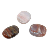 Madagascar Petrified Wood Flat Stone - Small (Singles)