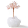 Rose quartz gemstone crystal tree with pink chips on a raw white quartz cluster base