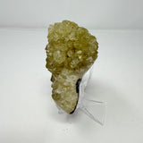Polished Natural Citrine Crystal Stalactite Knobs on Lucite Stand