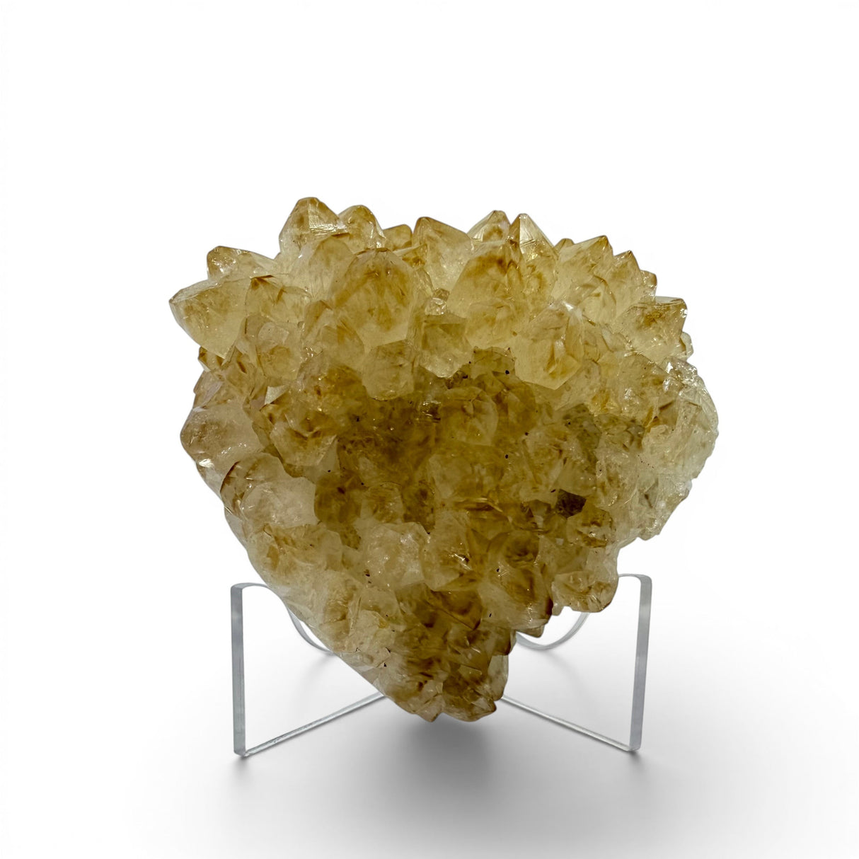 Polished Natural Citrine Crystal Stalactite Knobs on Lucite Stand