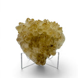 Polished Natural Citrine Crystal Stalactite Knobs on Lucite Stand