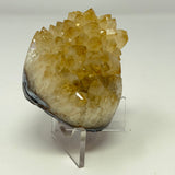Polished Natural Citrine Crystal Stalactite Knobs on Lucite Stand