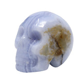 Blue Lace Agate Skull