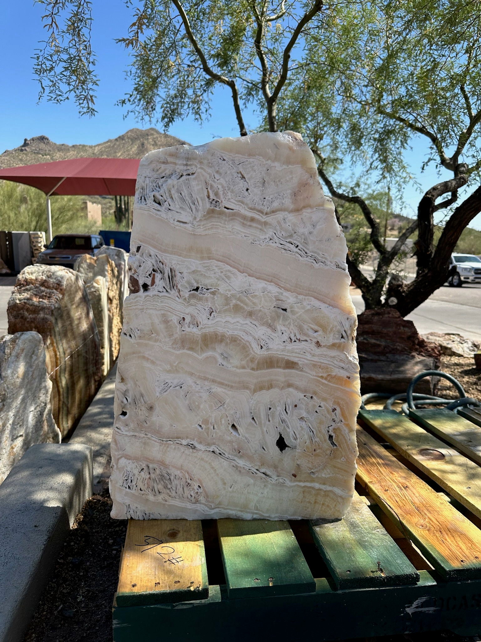 Rock Rere Orange Fountain Rock (Fossil?) ***no Basin - Rare Earth Gallery