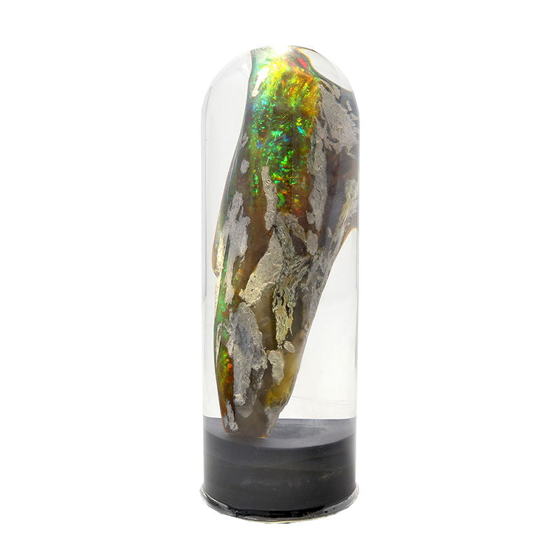 Black Opal Virgin Valley Nevada - Single Specimen