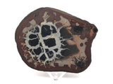Septarian Nodule Slice on Lucite Stand