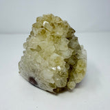 Natural Citrine Crystal Cluster - Polished Stalactite Bulb with Cut Base