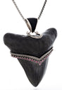 View of Megalodon Shark Tooth Pendant With Rubies & Stingray Leather Bail & Kick Stand