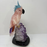 Rose Quartz Cockatoo Carving with Blue Quartz Crest Perched on Amethyst Crystal Cluster with Black Marble Base