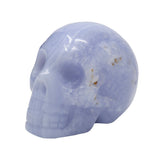 Blue Lace Agate Skull