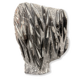 Orthoceras Plaque with Self-Standing Back