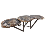 Arizona petrified wood trio slice coffee table, three grey and black polished slices on a dark hand-forged base