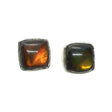 View of Ammolite Stud Earrings -Square