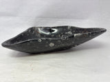 Orthoceras Fossil Bowl in Black Seabed - Freeform Triangle