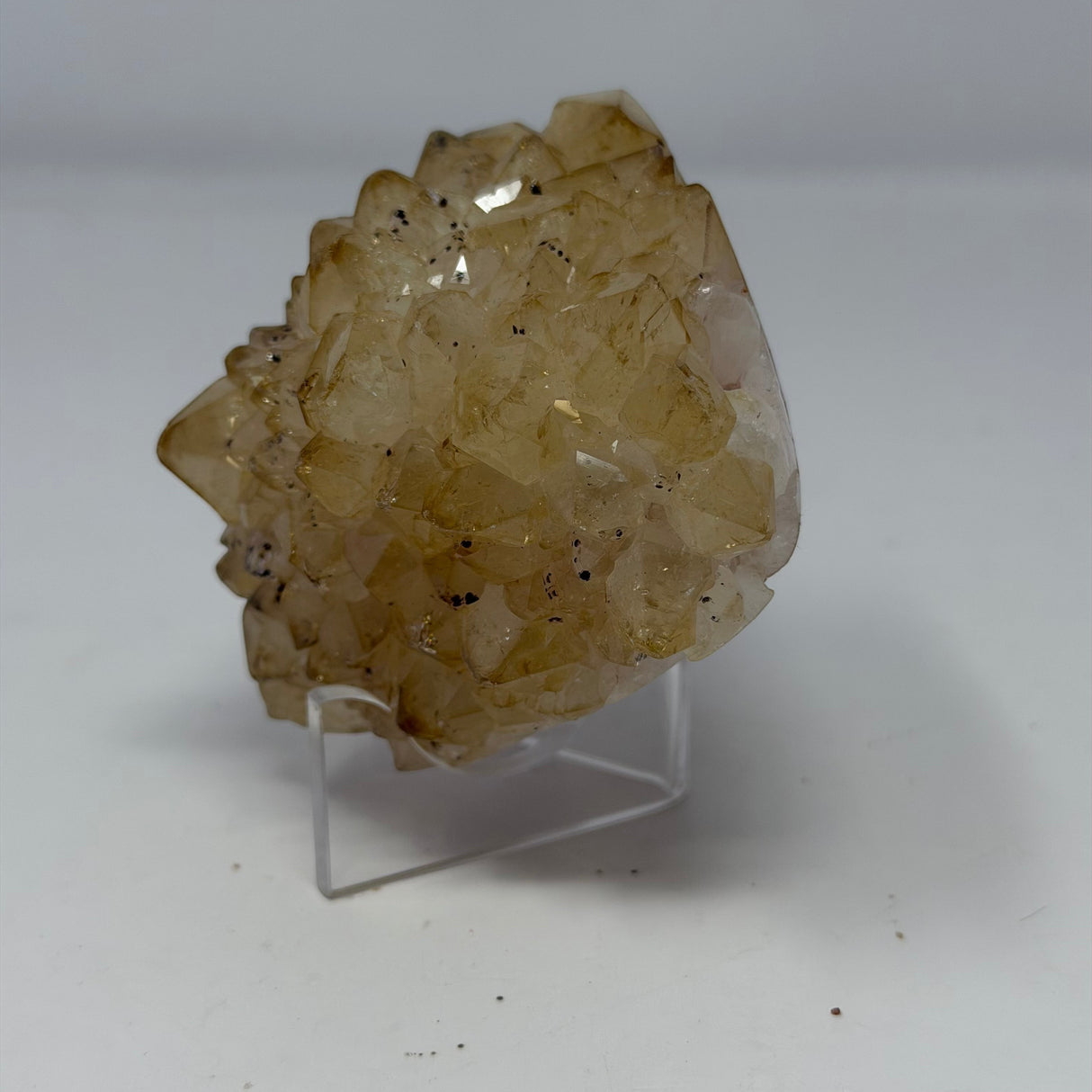 Polished Natural Citrine Crystal Stalactite Knobs on Lucite Stand