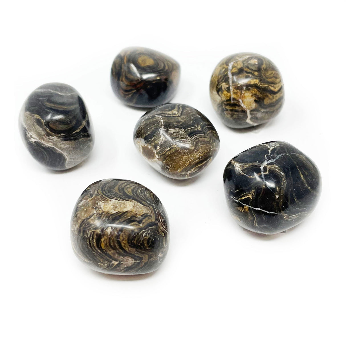 Tumbled Stromatolite Colombian (Singles)