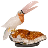 Quartz Toucan with Rose Quartz Beak & Multicolor Tail Feathers on Citrine Geode with Black Base