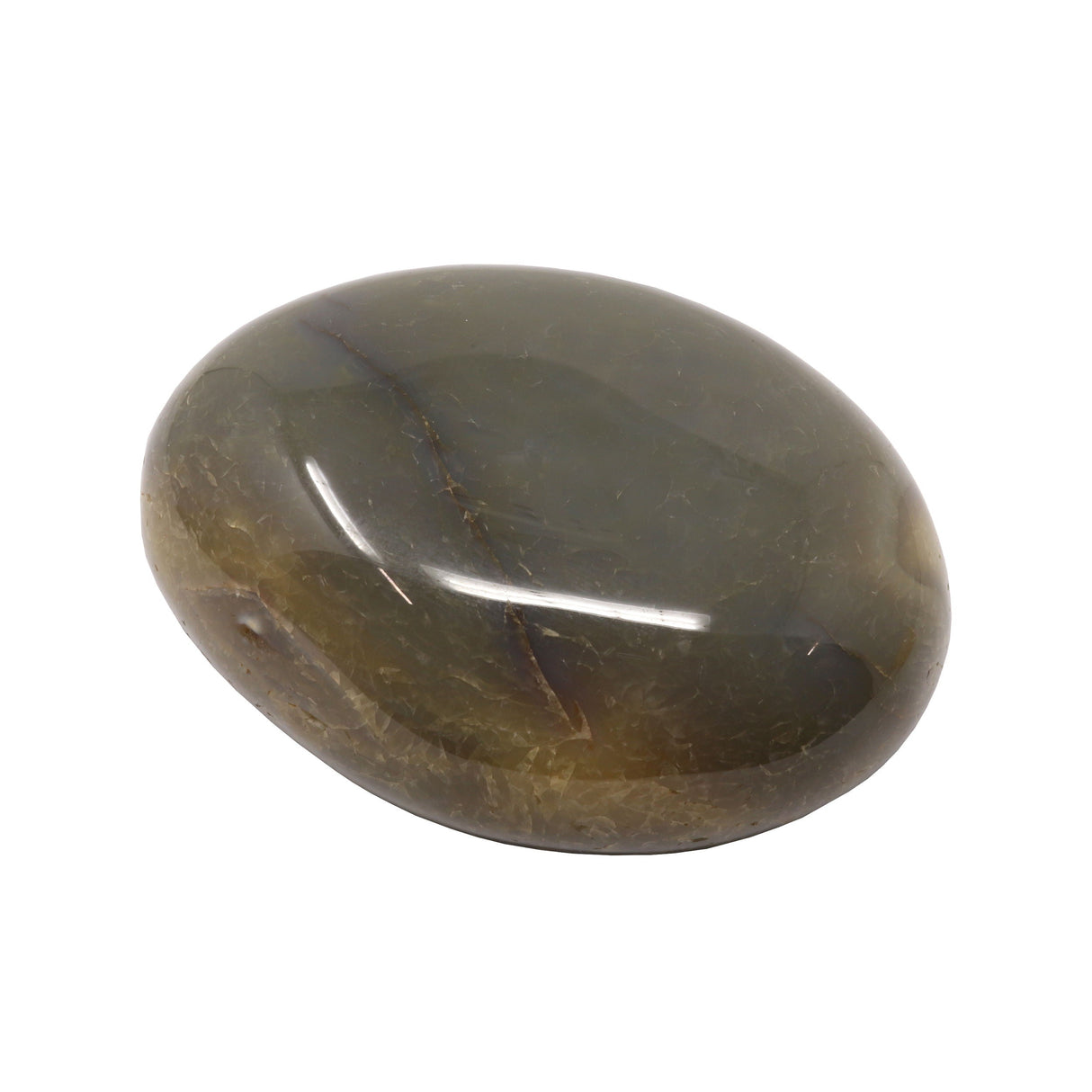 Agate Palm Stone - Gray with Brecciated Red