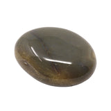 Agate Palm Stone - Gray with Brecciated Red