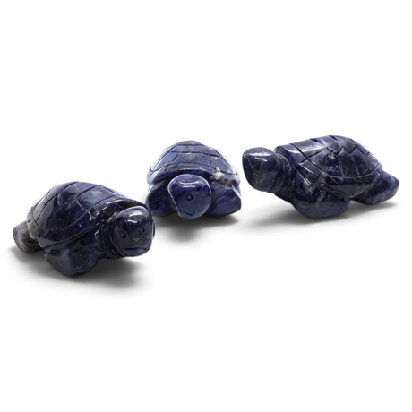 Three Rare Earth Gallery sodalite sea turtle carvings with deep blue stone texture and polished finish