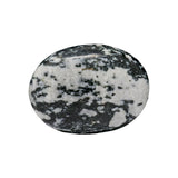 Tourmaline in Quartz Palm Stone