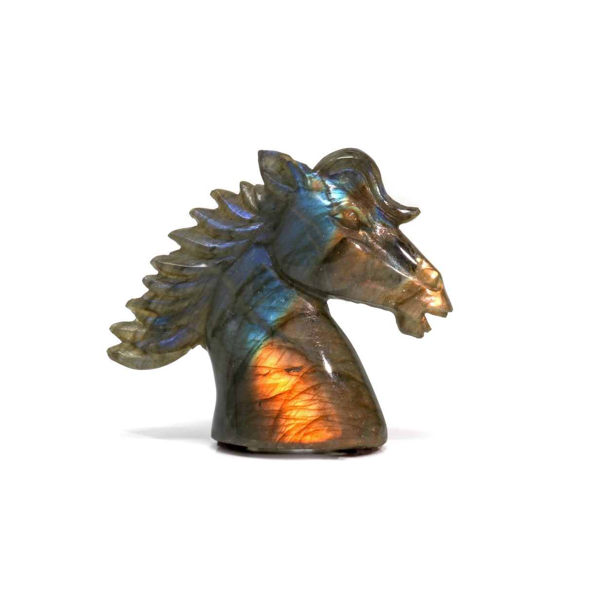 Labradorite Carving - Stallion Head Small with Distinctive Rainbow Flash - Half Golden Orange & Cool Blues