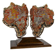 Arizona petrified wood pair, double-sided polish with red and yellow rings, on custom brass stand