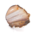 View of Thin Agate Slice -Densely Banded Linear Pattern With Half Oval Druze Pocket On Easel Stand
