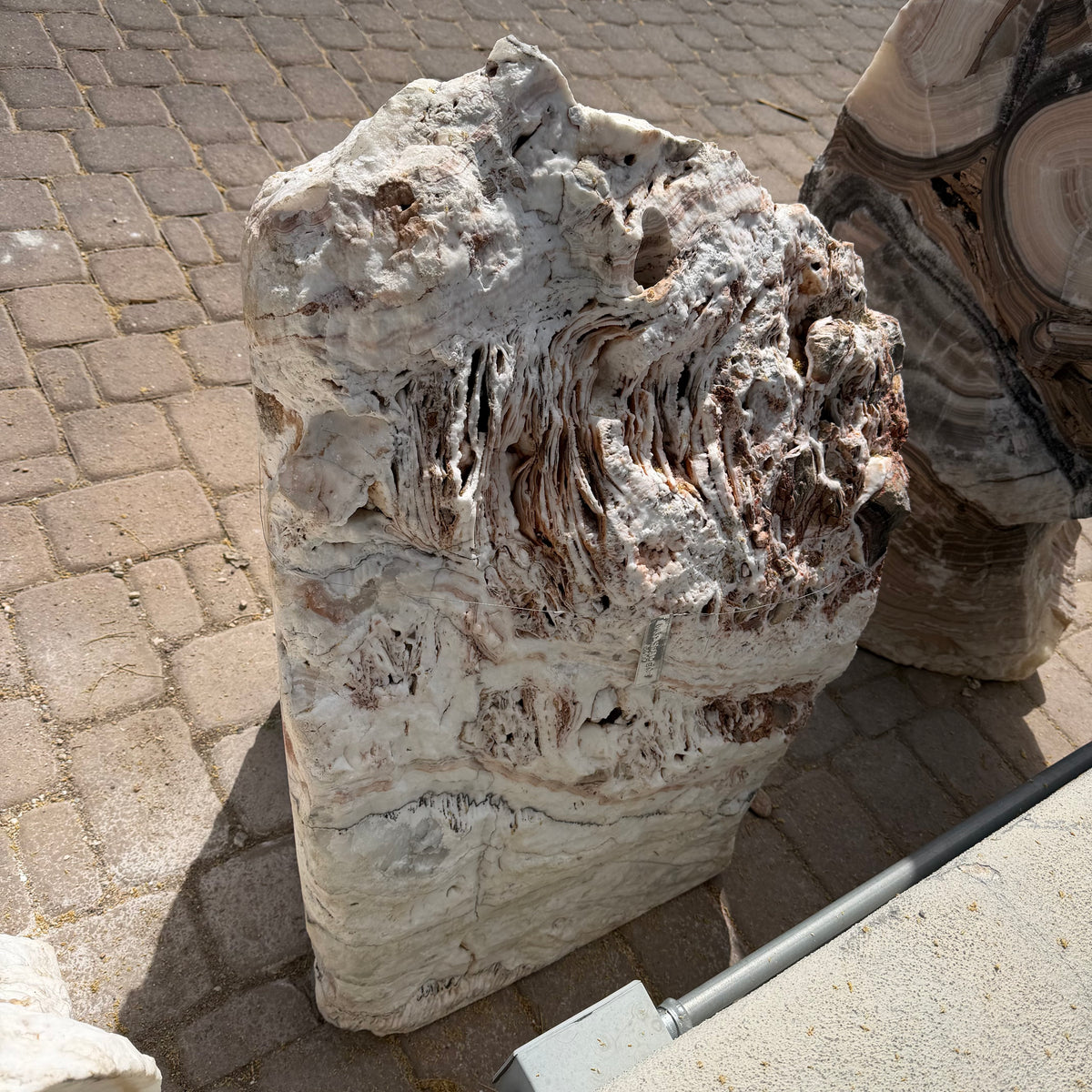 Sunset Fossil Onyx fountain viewed from above, natural white and tan face riddled with fossil channels