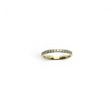 Rare Earth Gallery 2mm titanium ring with gold IP plating and a row of sparkling white cubic zirconia stones.