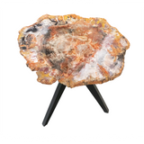 View of Arizona Rainbow Petrified Wood Slice with Gray Starburst
