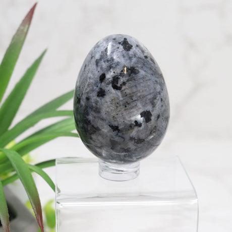 View of Larvikite Carved Egg