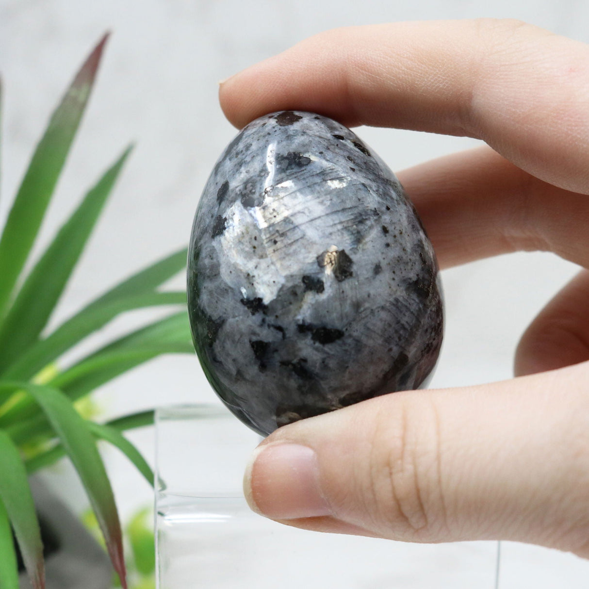 Larvikite Carved Egg