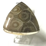 Bague ajustable en corail fossilisé