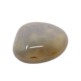 Agate Palm Stone - Blue