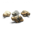 Rare Earth Gallery collection of four hand-carved sea turtles made from yellow and grey crazy lace agate stone