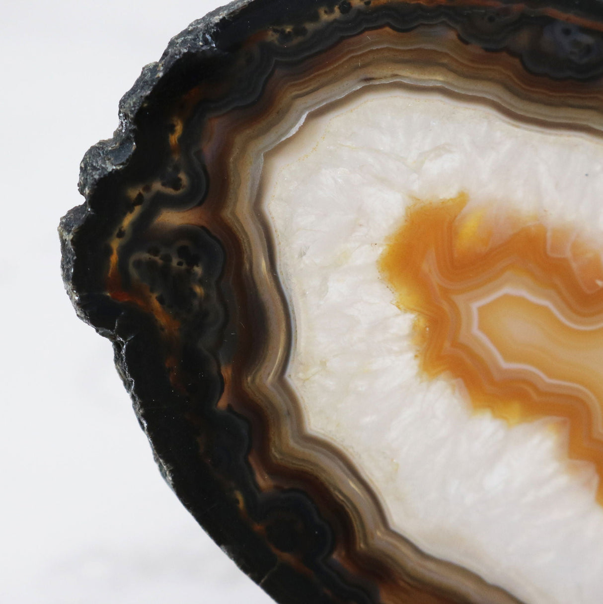 Agate Slice on Lucite Easel Stand - Heavy Chocolate Bands with Carmel Carnelian Center with Quartz Layer